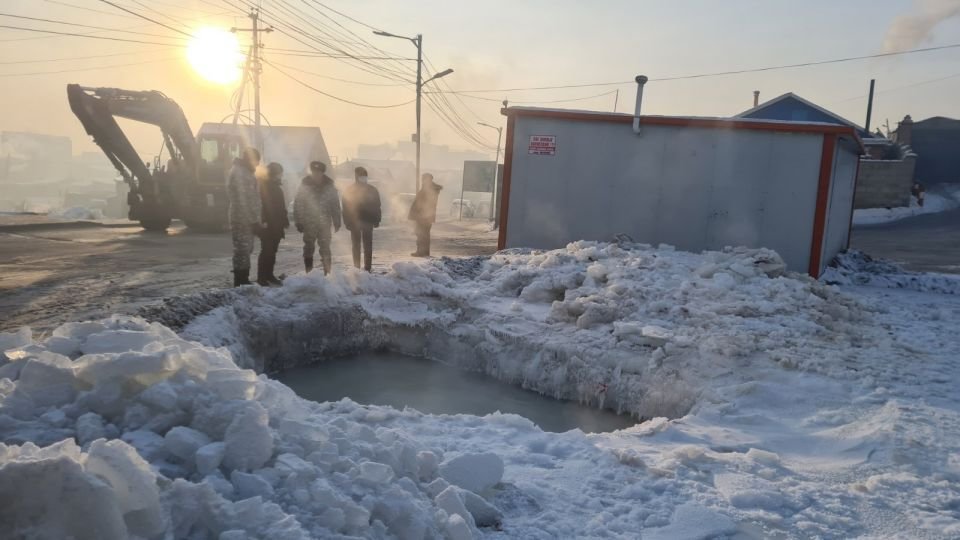 Нийслэлийн хэмжээнд халиа, тошинд өртөх эрсдэлтэй 2316 нэгж талбар бий